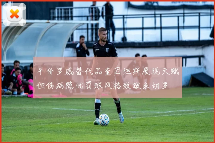平价罗威替代品奎因坦斯展现天赋但伤病隐忧罚球风格致敬米切罗
